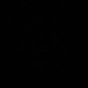 Meet your Posher, Chyvonne